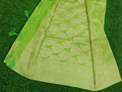 Mint Green Jaal Crape Banarasi saree